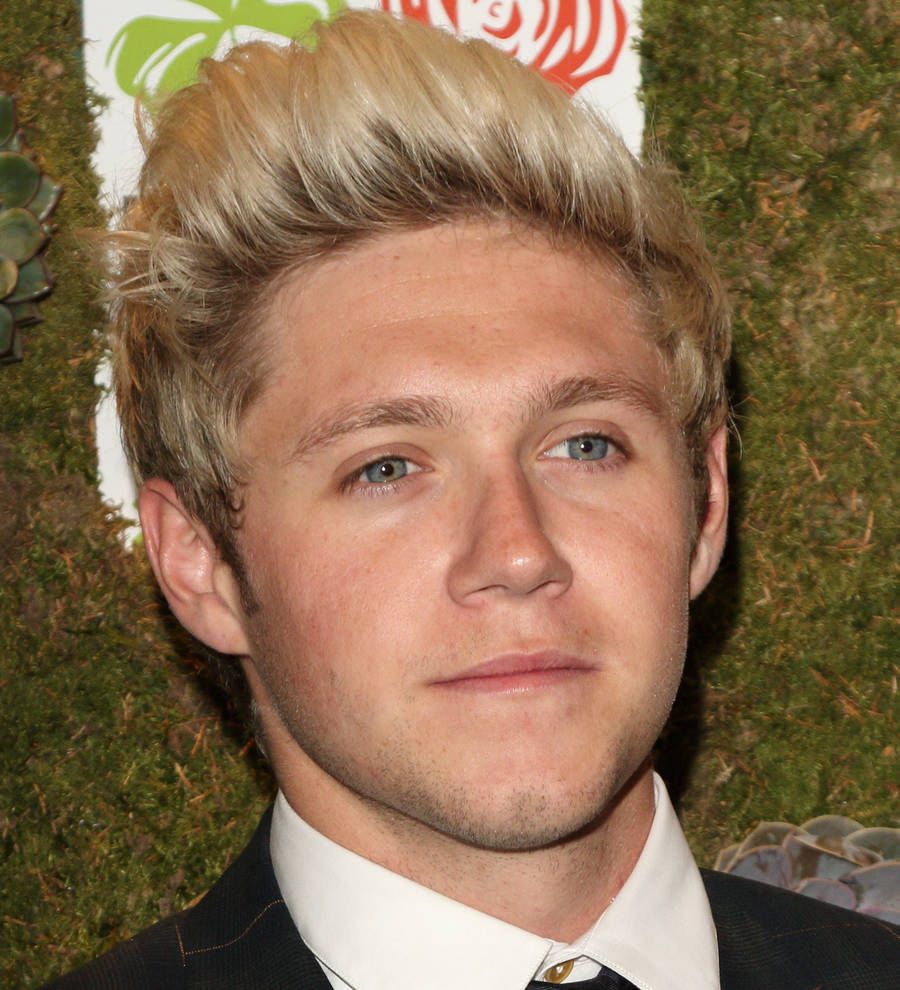 Niall Horan: 'I won't have an album ready until at least 2018'