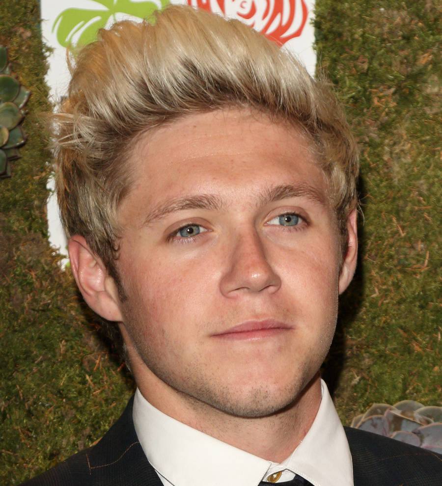 Niall Horan: 'I won't have an album ready until at least 2018'