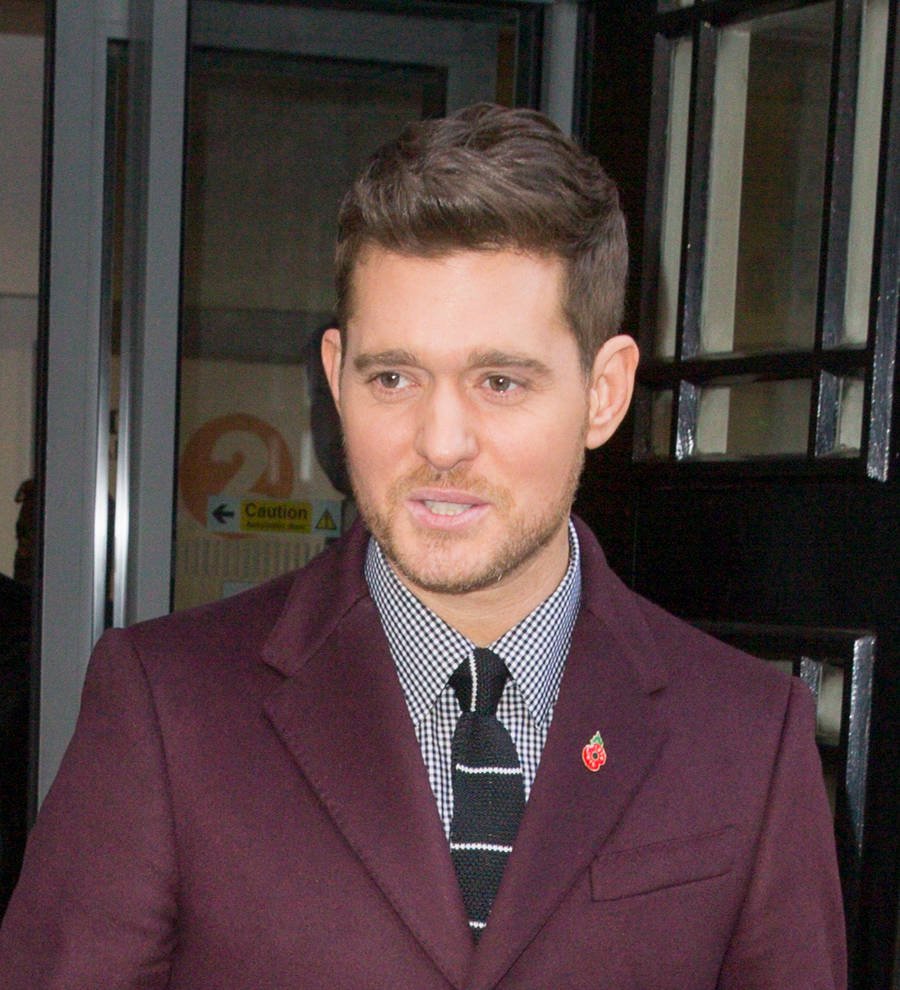 Michael Buble's son is recovering from cancer - report
