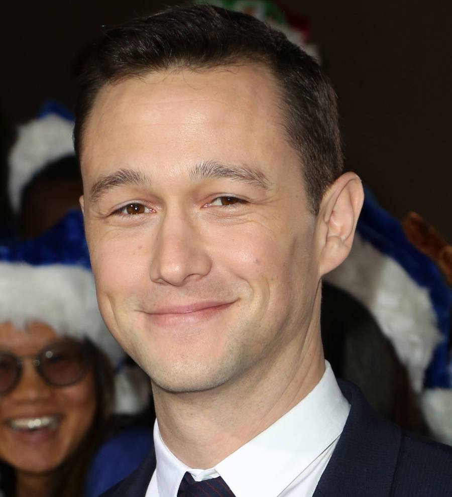 Joseph Gordon-Levitt exits Sandman film
