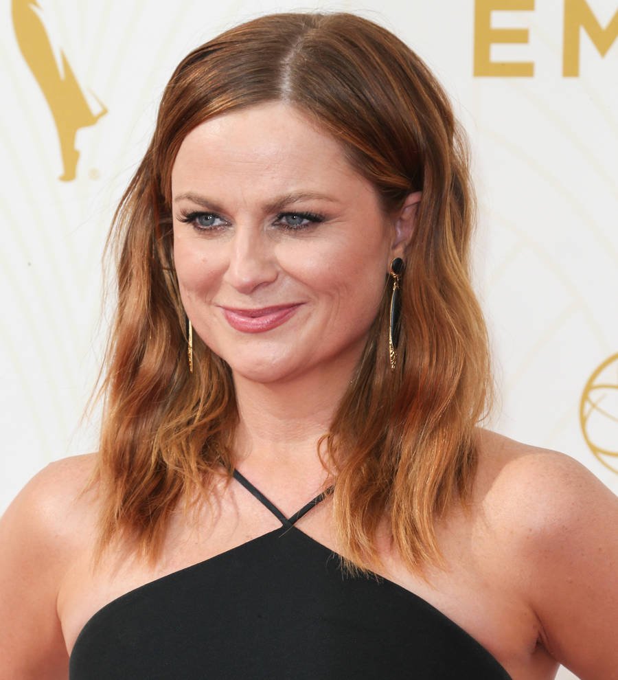 Amy Poehler to receive 2,566th Walk of Fame star