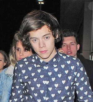 Harry Styles enjoys birthday lapdance