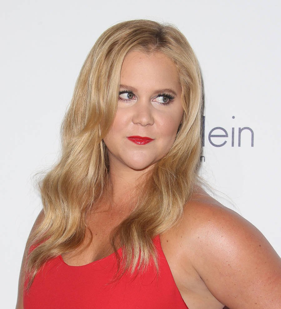Amy Schumer goes sans pants for gun safety