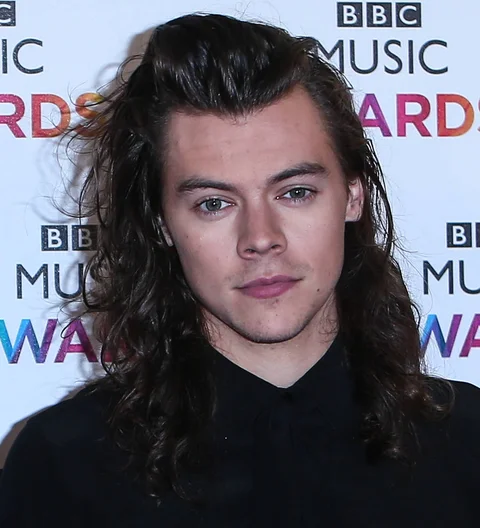 Harry Styles laughs off Han Solo audition rumors