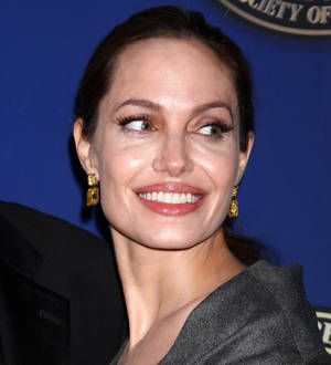 Angelina Jolie applauded by world leaders over war rape campaign