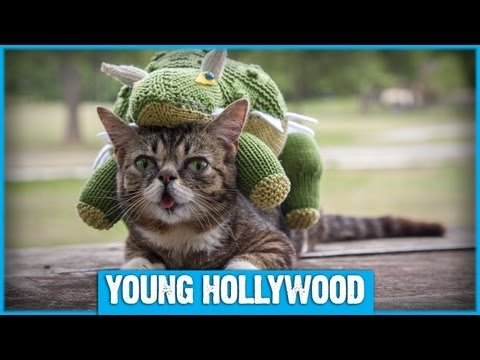 Lil Bub the Cat at Young Hollywood