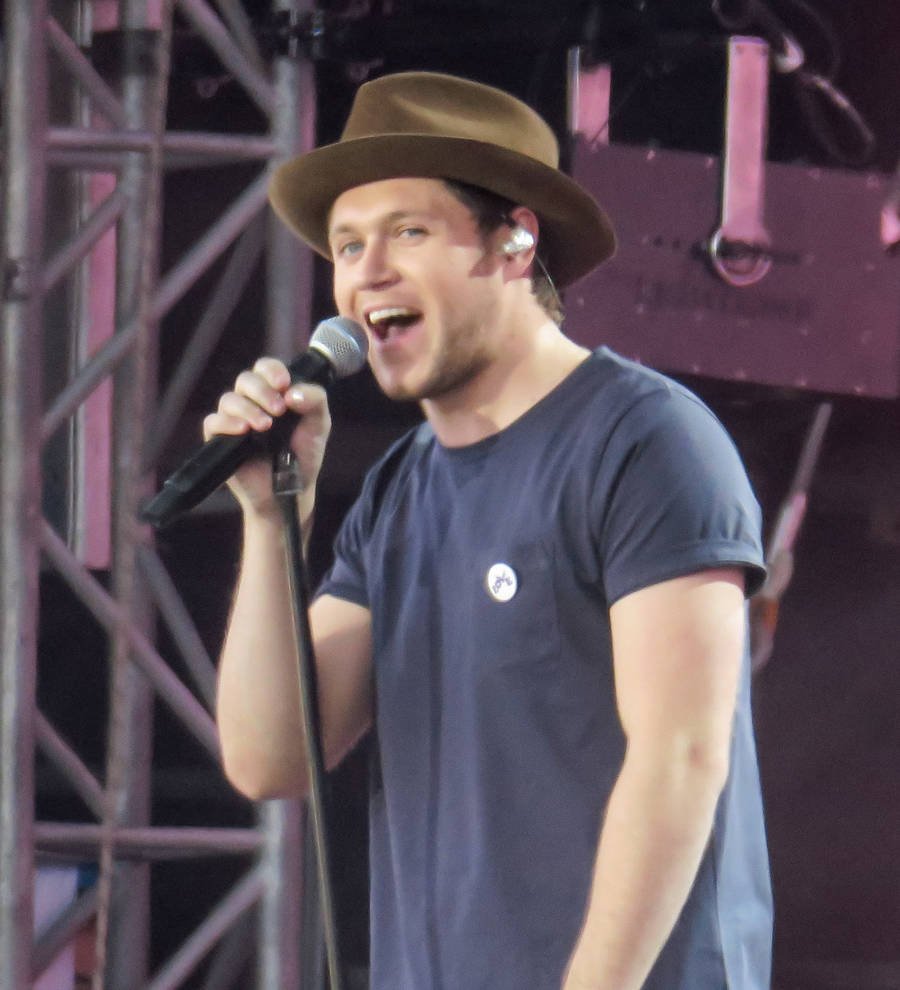 Niall Horan: 'Music beat terror at One Love Manchester'