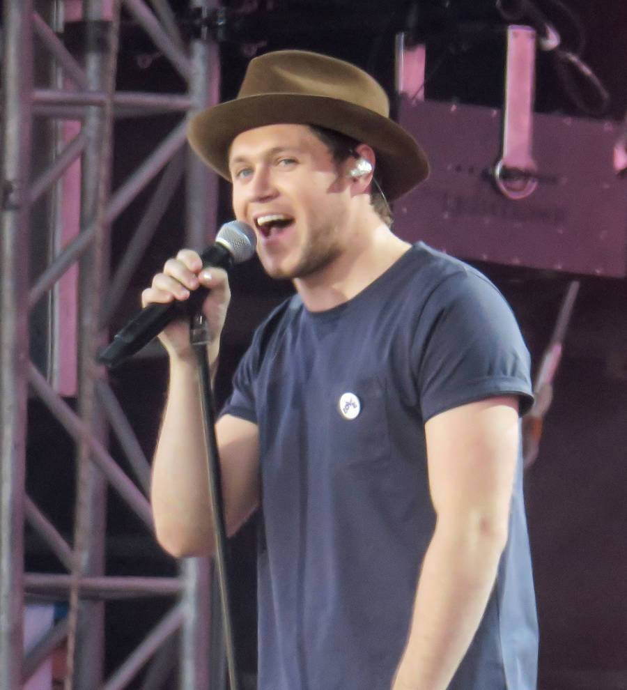 Niall Horan: 'Music beat terror at One Love Manchester'