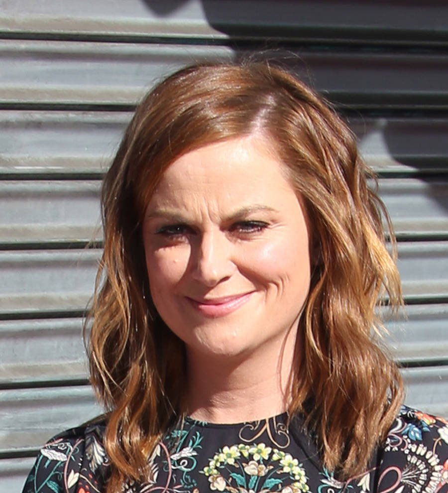 Amy Poehler honored by Rashida Jones at star ceremony