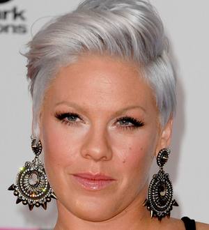 Pink's Parents Heard Pregnancy News on the Radio