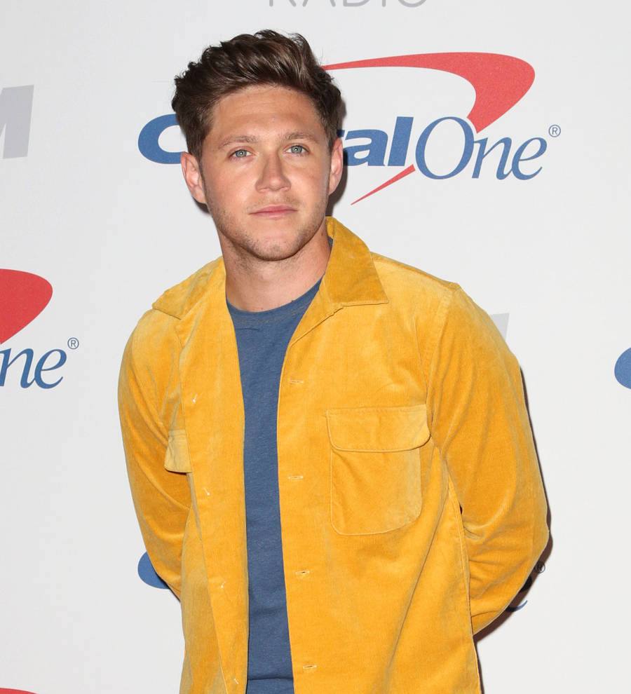 Ed Sheeran had to borrow clothes from Niall Horan after bus mishap on night out