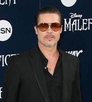 Brad Pitt's alleged attacker hit with four criminal charges