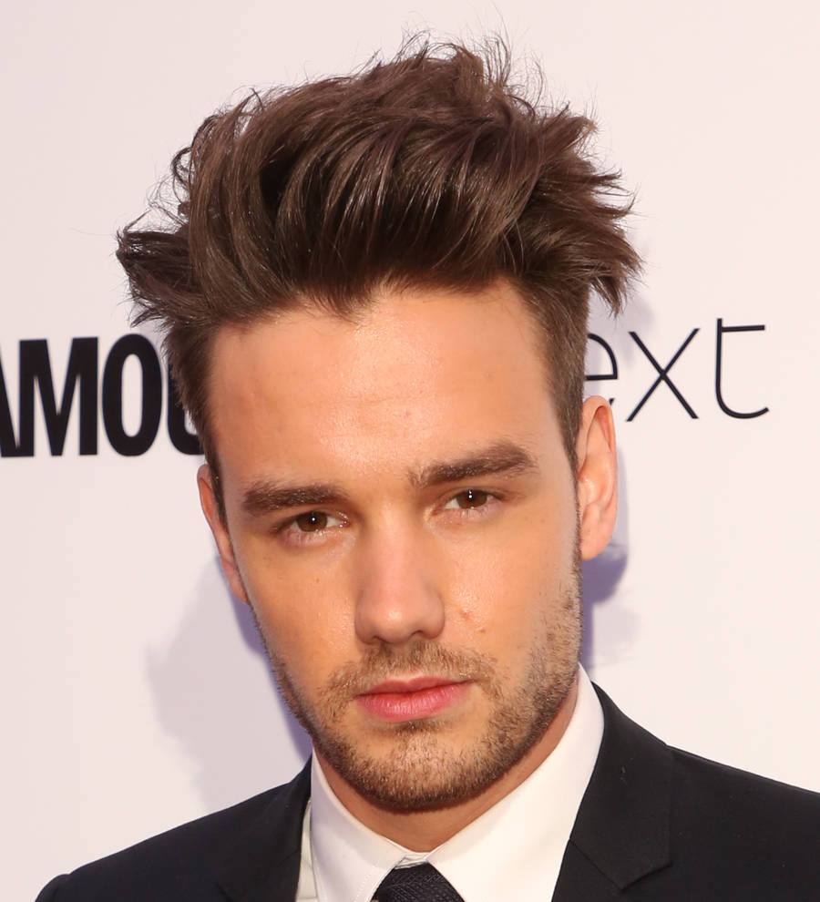 Liam Payne 'honoured' to have met Queen Elizabeth II and Prince Harry