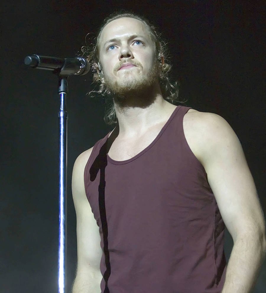 Imagine Dragons singer thanks fans for helping him with depression battle