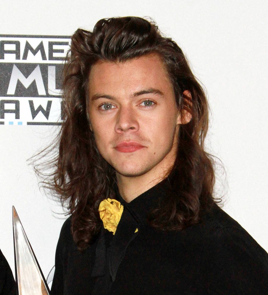 Harry Styles: 'Helicopter stunt helped me reach song's high notes!'