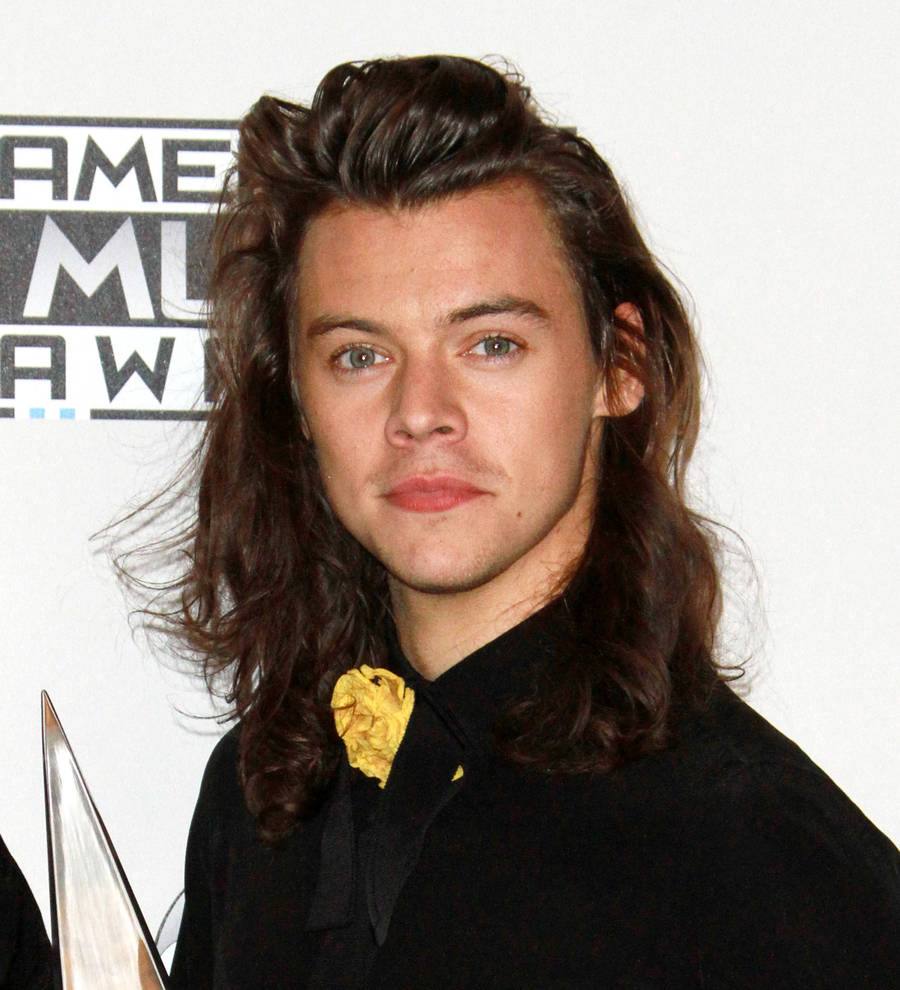 Harry Styles: 'Helicopter stunt helped me reach song's high notes!'