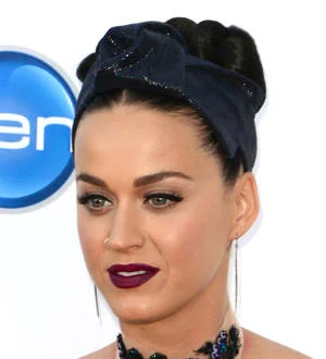 Katy Perry gets wild at Super Bowl with Lenny Kravitz and Missy Elliott