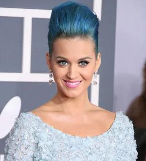 Katy Perry lands TV role as prison guard