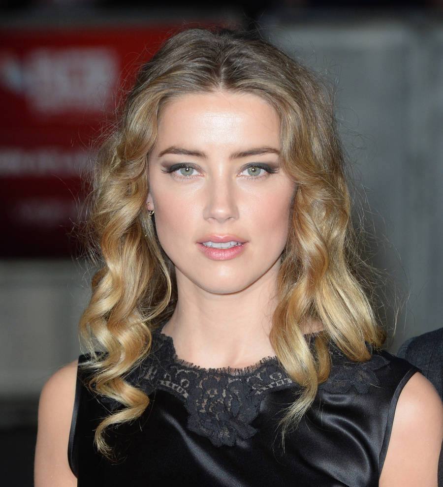 Amber Heard's dog case delayed for a second time
