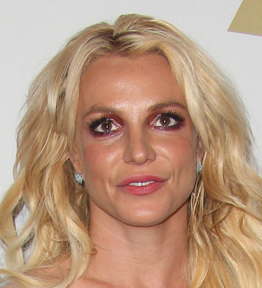 Britney Spears pays tribute to superfan