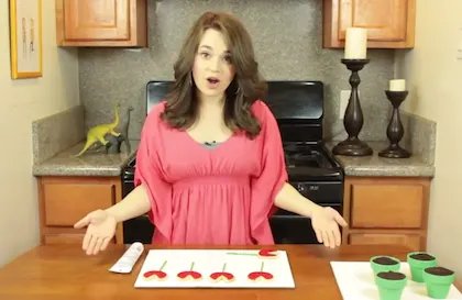 VIRAL ALERT: Rosanna Pansino