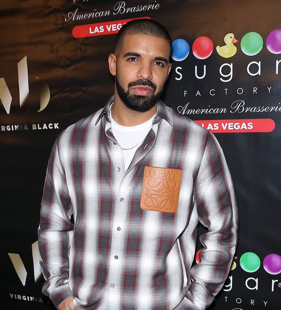 Drake's uninvited guest arrested