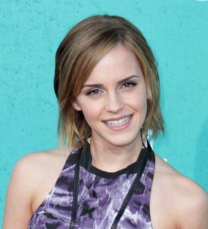 Emma Watson took Perks role after persuasive pitch