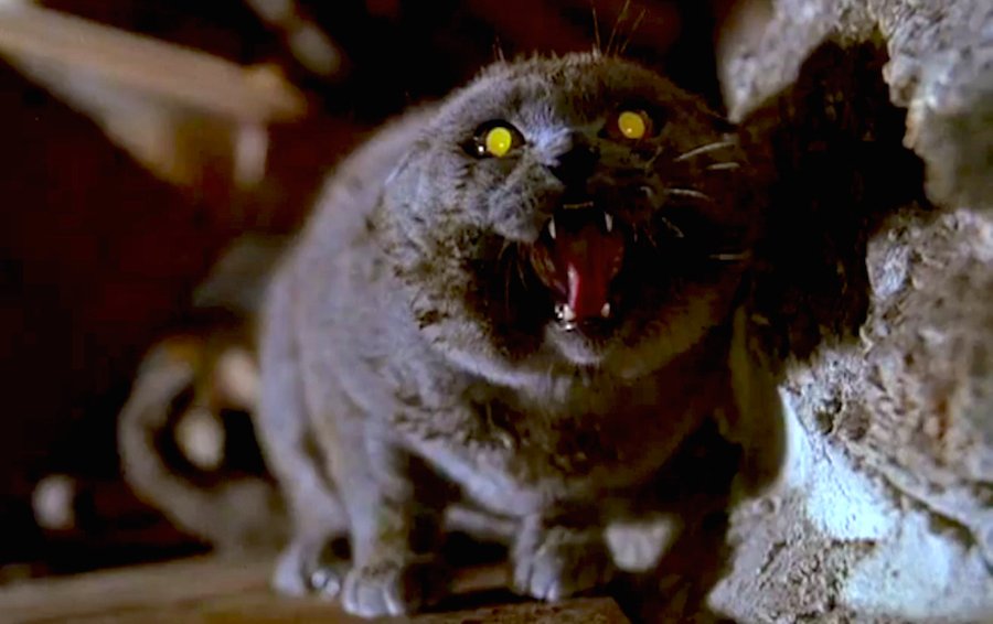 Paramount Resurrecting Stephen King's 'Pet Sematary' for the Big Screen!