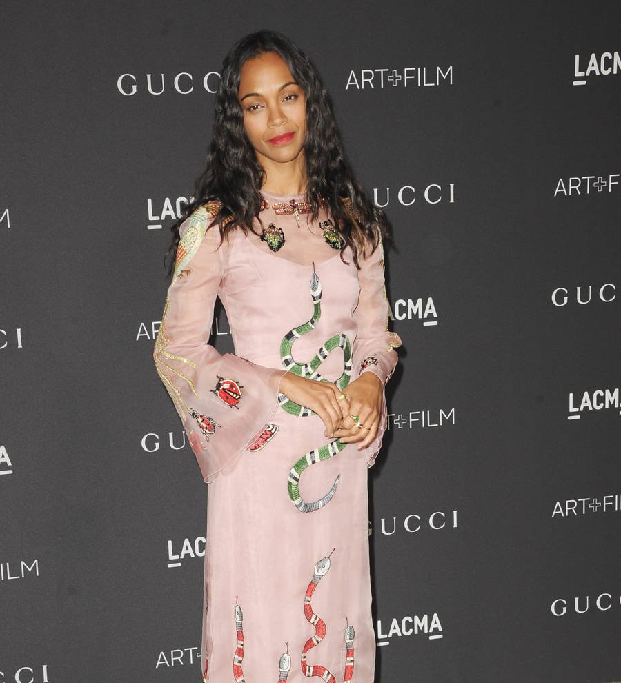 Zoe Saldana's twin boys fight like 'gangsters'