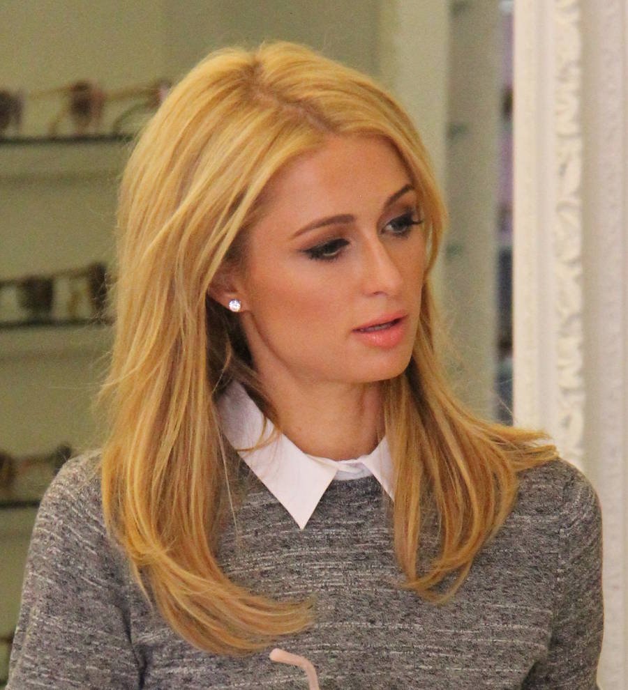 Paris Hilton in elevator drama