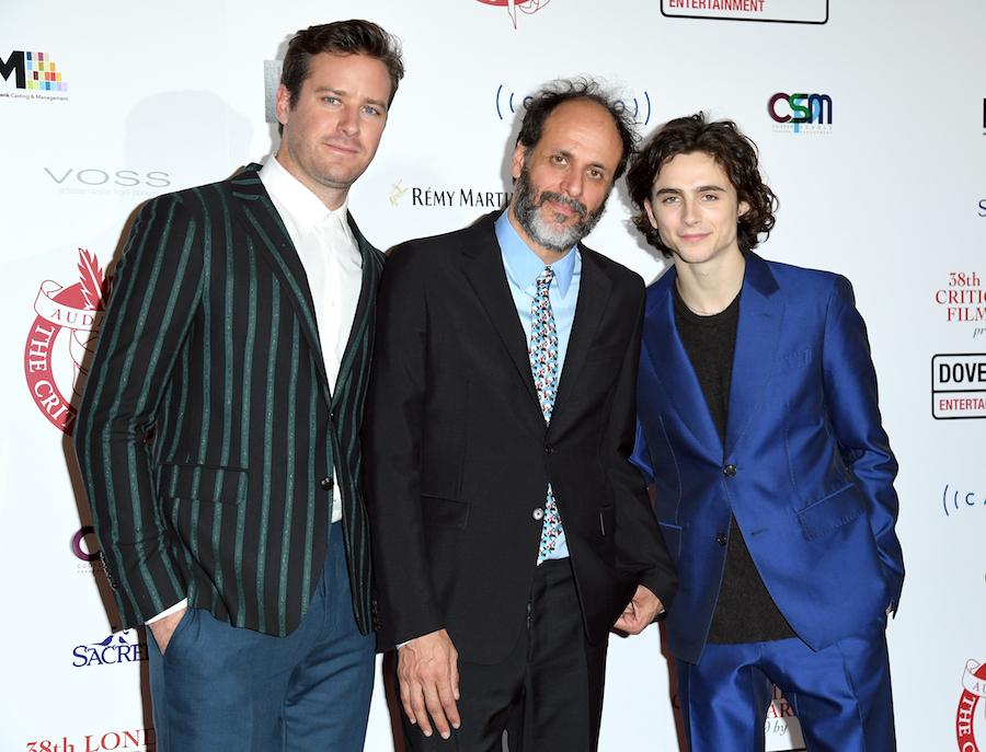 New Projects From 'Call Me By Your Name' Stars & Director!