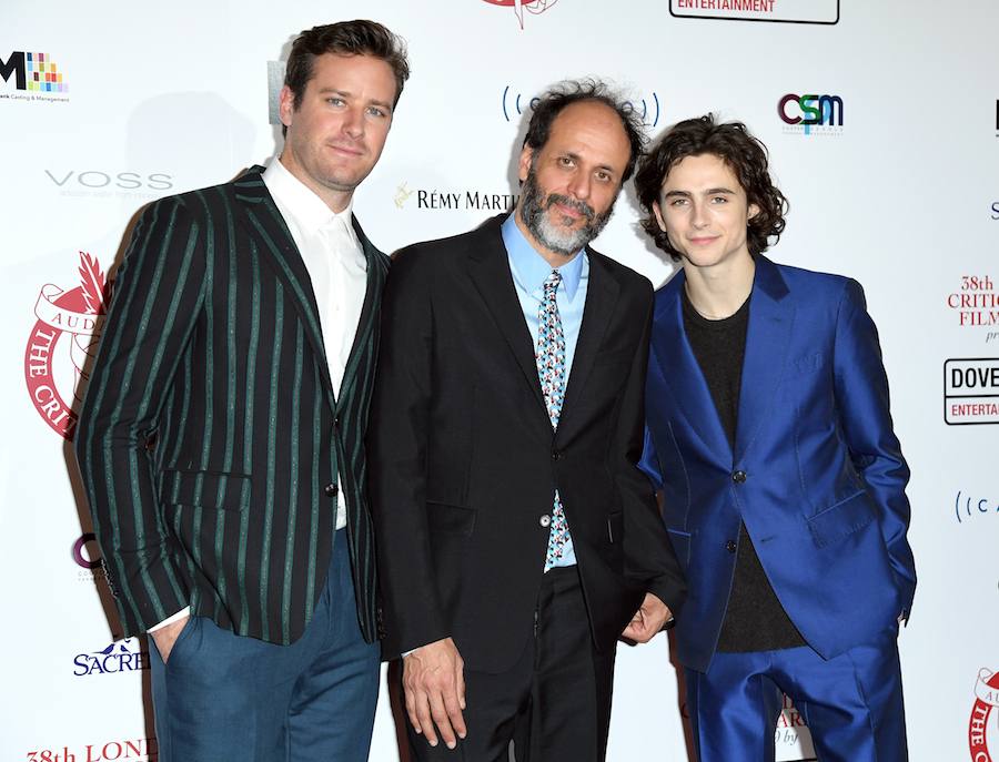 New Projects From 'Call Me By Your Name' Stars & Director!