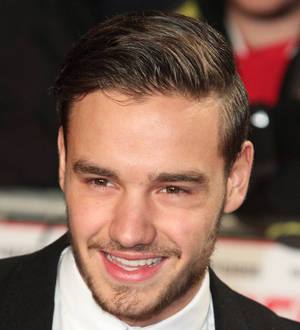 Liam Payne hits back following Duck Dynasty tweet