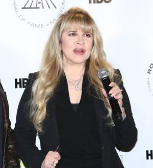 Stevie Nicks: 'My new album is about Lindsey Buckingham'