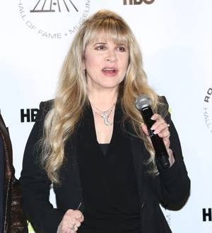 Stevie Nicks: 'My new album is about Lindsey Buckingham'