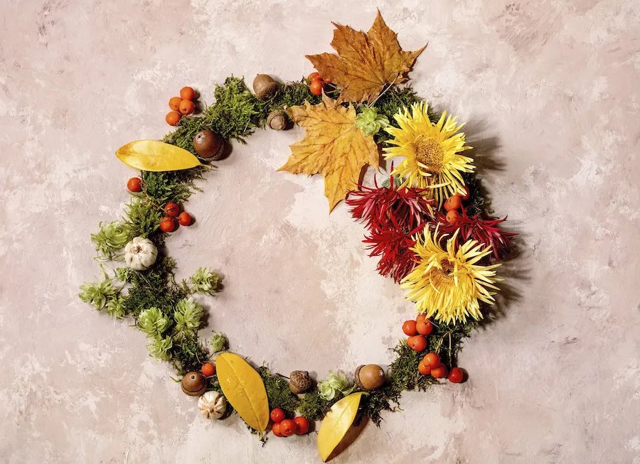5 Fall Activities To Celebrate The Season!