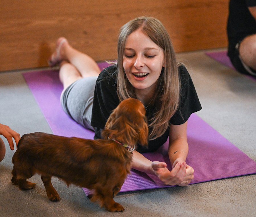 10 Tips and Tricks To Help Improve Your Mental Health!