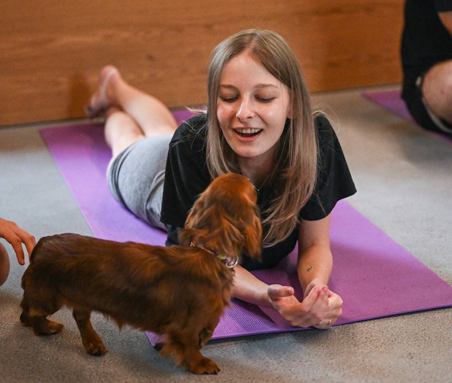 10 Tips and Tricks To Help Improve Your Mental Health!