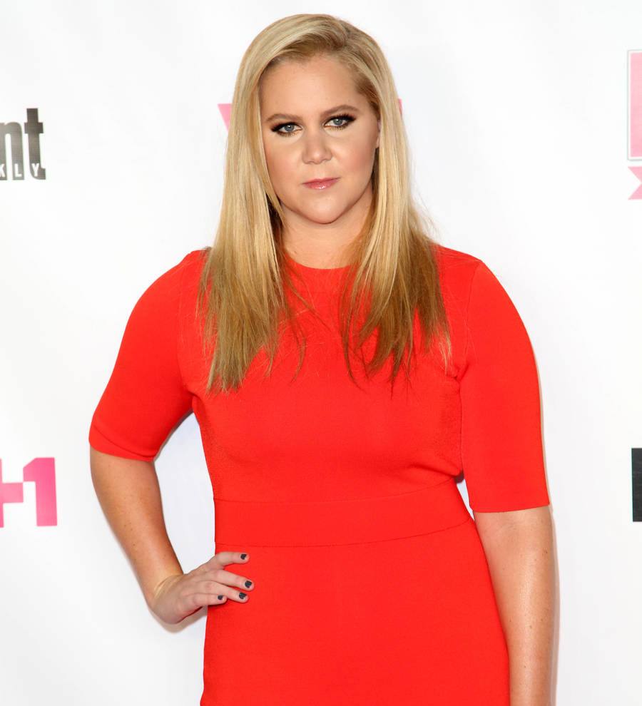 Amy Schumer buys back her dad's old farm