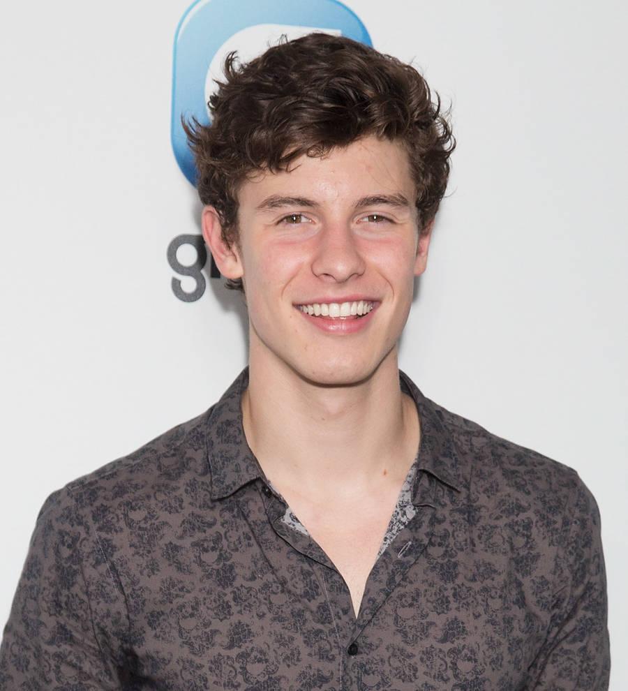 Shawn Mendes: 'Katy Perry pinch story was all made up'