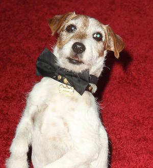 Uggie the dog dies