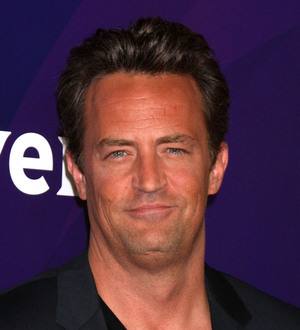 Matthew Perry wants Friends to make cameos in new TV show