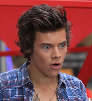 Harry Styles: 'I won't date a spitter'