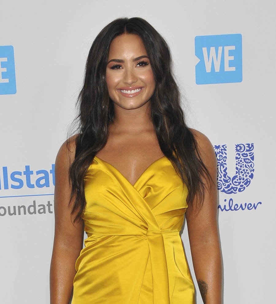 Demi Lovato's perfect night is knitting while watching Netflix