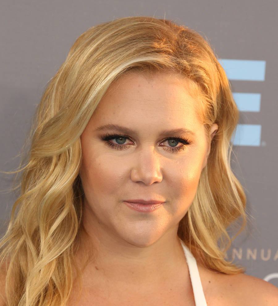 Amy Schumer defends herself against stolen jokes accusations