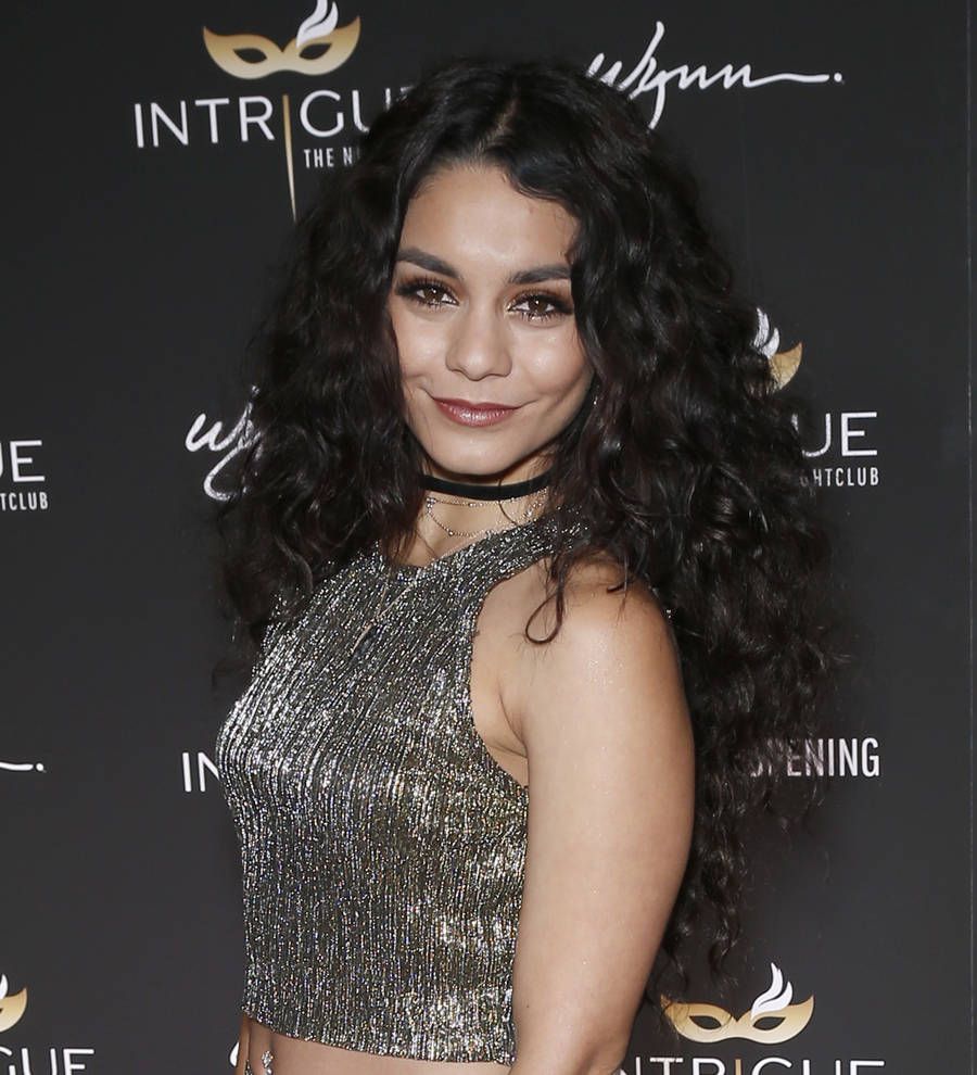 Vanessa Hudgens agrees to pay,000 fine for illegal rock carving