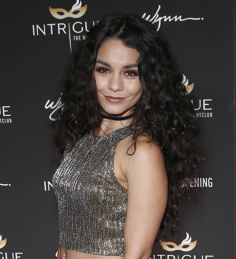 Vanessa Hudgens agrees to pay,000 fine for illegal rock carving