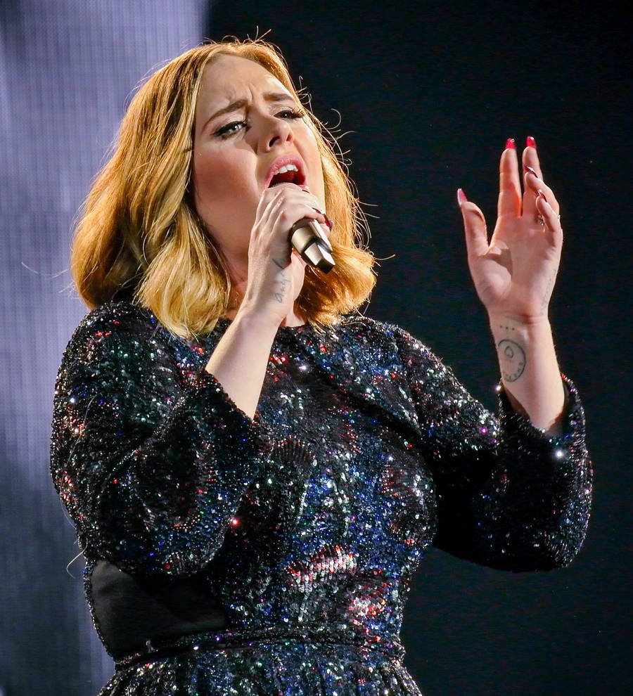 Adele: 'I won't record another Bond theme'