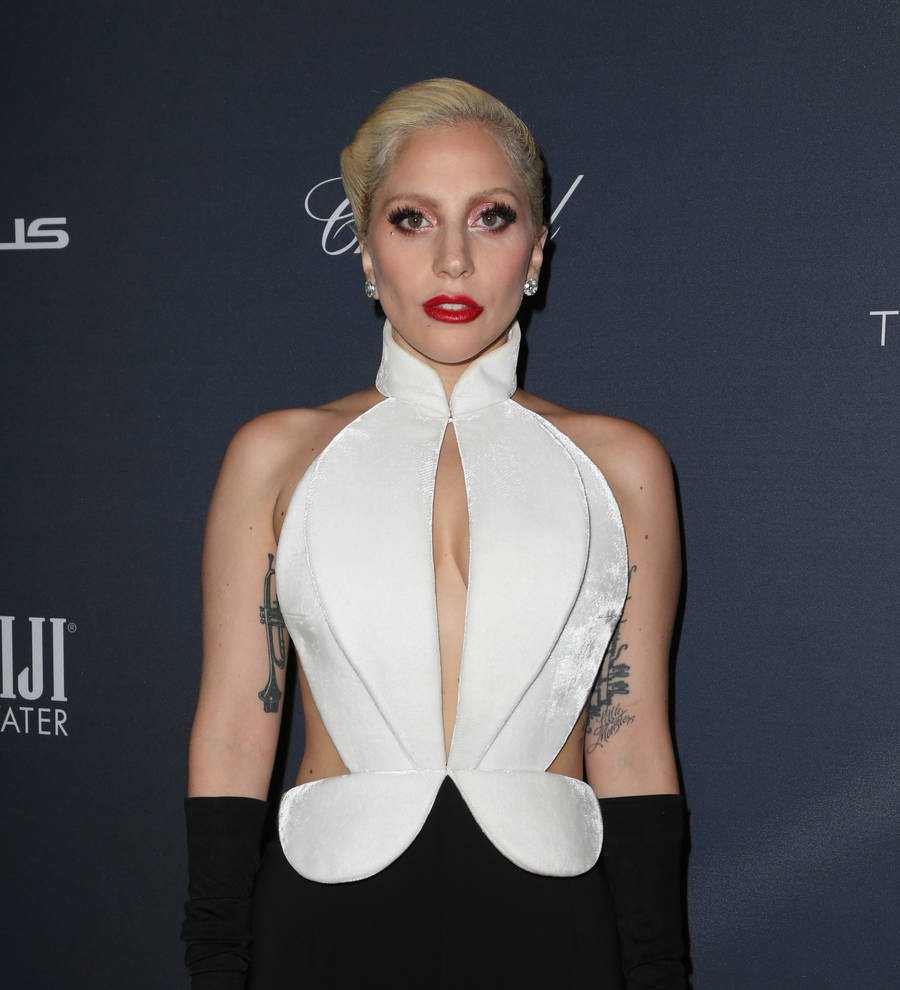 Newly-single Lady Gaga returning to stage for political gig