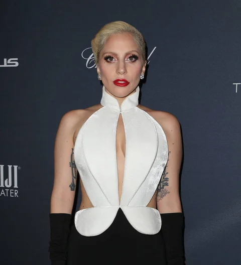 Newly-single Lady Gaga returning to stage for political gig